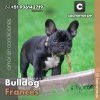 Bulldog Francés