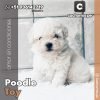 Poodle Toy