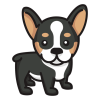 Reserva tu Cachorro